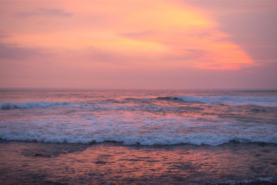 A day at the Coco beach club