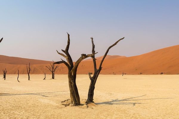 Romantic Honeymoon in Namibia