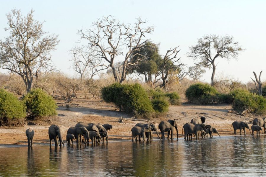 Botswana by air luxury safari