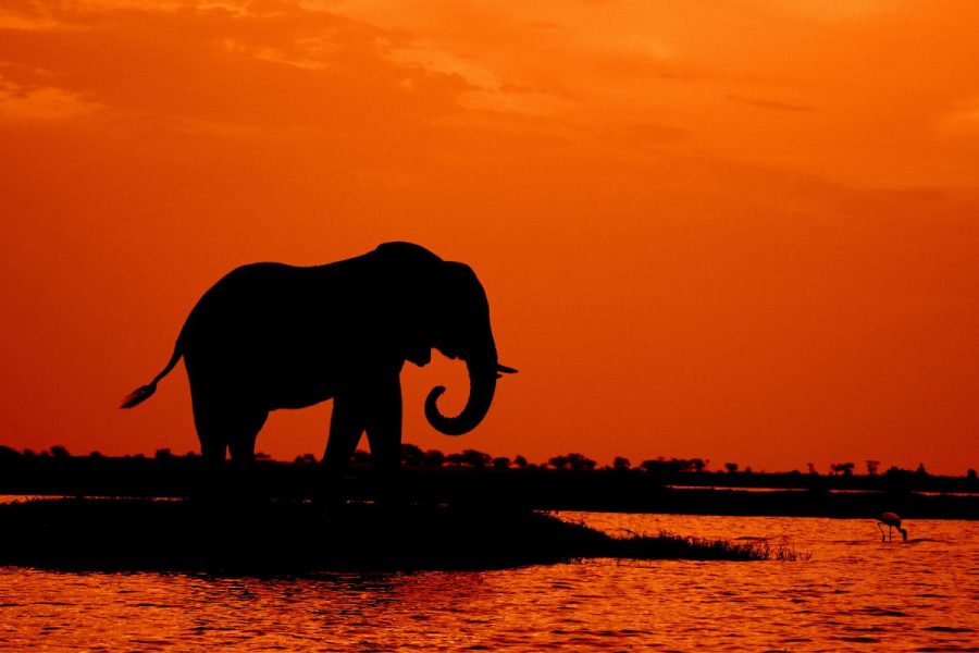 Camping Safari in Botswana